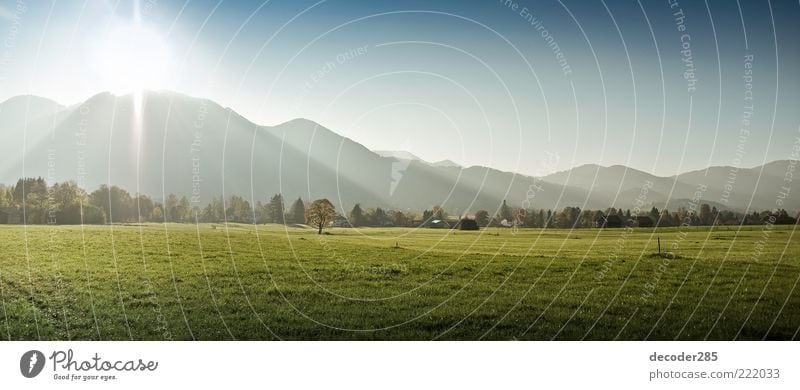 Lengries Umwelt Natur Landschaft Pflanze Urelemente Erde Luft Himmel Horizont Sonne Sonnenaufgang Sonnenuntergang Sonnenlicht Klima Wetter Schönes Wetter Baum