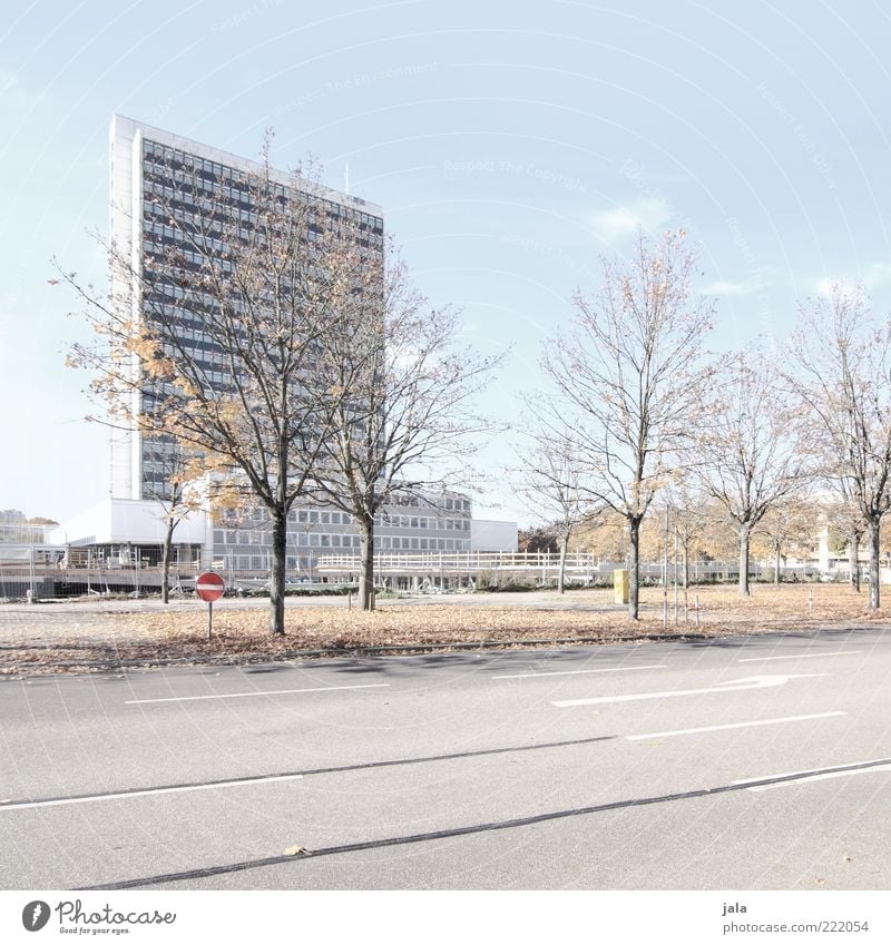 karlsruhe Himmel Herbst Pflanze Baum Stadt Haus Hochhaus Bauwerk Gebäude Architektur Straße Wege & Pfade Farbfoto Außenaufnahme Menschenleer Tag Betonbauweise