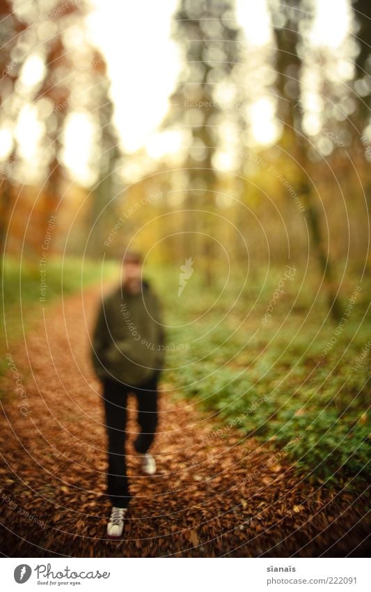 wo deine füsse stehn... Mensch maskulin Junger Mann Jugendliche Erwachsene Leben 1 Natur Herbst Wald gehen Spaziergang Spazierweg Wege & Pfade gegen kommen