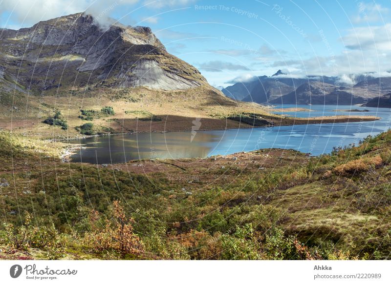 Fjord, Lofoten, Norwegen, Herbstlandschaft im Sonnenlicht Ferien & Urlaub & Reisen Ausflug Abenteuer Ferne Freiheit Natur Landschaft Wolken Klima Schönes Wetter