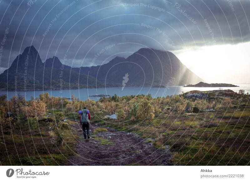 Bedrohliche Wolkenwand, Sonne, Wanderer, Fjord, Herbst, Lofoten Junger Mann Jugendliche Sonnenaufgang Sonnenuntergang Klima Klimawandel schlechtes Wetter