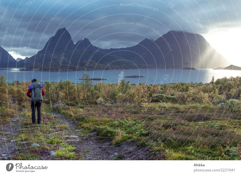 Lofoten-Dreams ruhig Ferien & Urlaub & Reisen Abenteuer Ferne Freiheit wandern Junger Mann Jugendliche Sonne Winter Gipfel Fjord Vorfreude Mut Leidenschaft