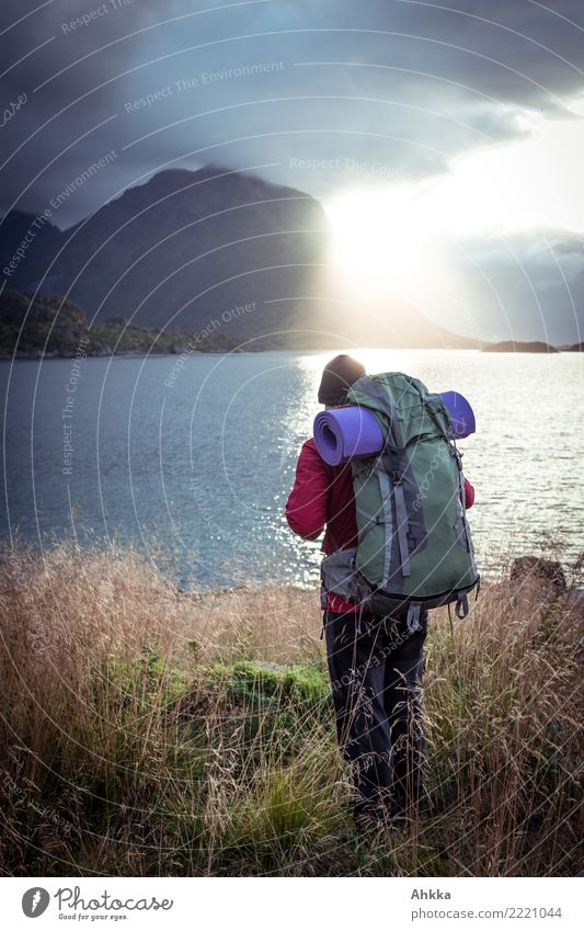 Junger Mann mit Wanderrucksack am Meer im Gegenlicht, Lofoten Ferien & Urlaub & Reisen Ausflug Abenteuer Freiheit wandern Jugendliche Landschaft Klimawandel