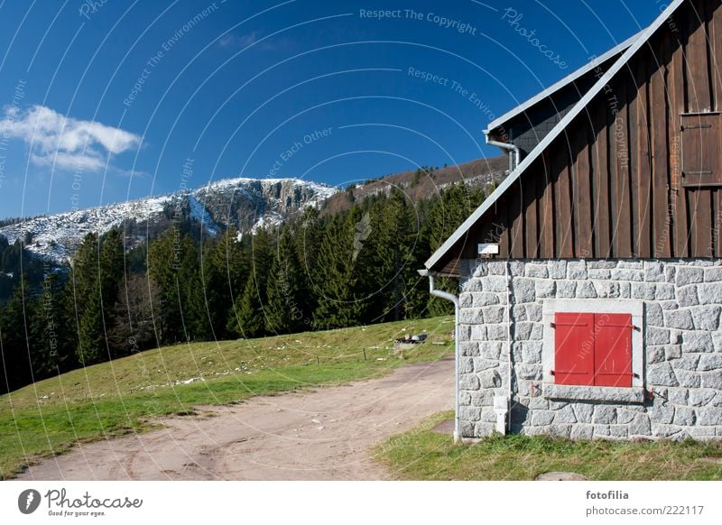 das rote fenster Umwelt Natur Landschaft Himmel Wolken Sonnenlicht Klima Schönes Wetter Schnee Baum Gras Wiese Wald Schneebedeckte Gipfel Haus Hütte Mauer Wand