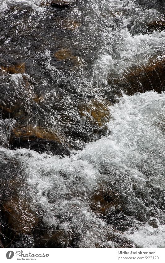 Sprudelnder Bergbach am Stuibenfall Natur Wasser Felsen Alpen Bach Wasserfall glänzend nass natürlich wild Kraft Geplätscher strömen Wasserkraft Gischt spritzig