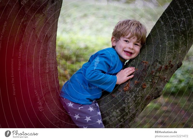 Kleinkind sitzt in einem Baum Kindheit Gefühle Freude niedlich Glück Fröhlichkeit Lebensfreude Zufriedenheit Lächeln klein authentisch lachen Junge 1-3 Jahre