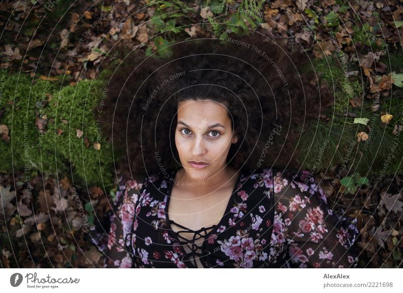 Portrait im Wald einer jungen, schönen Frau mit langen, dunklen Haaren und vielen Locken, die auf dem Waldboden liegt Glück Haare & Frisuren Gesicht Wohlgefühl