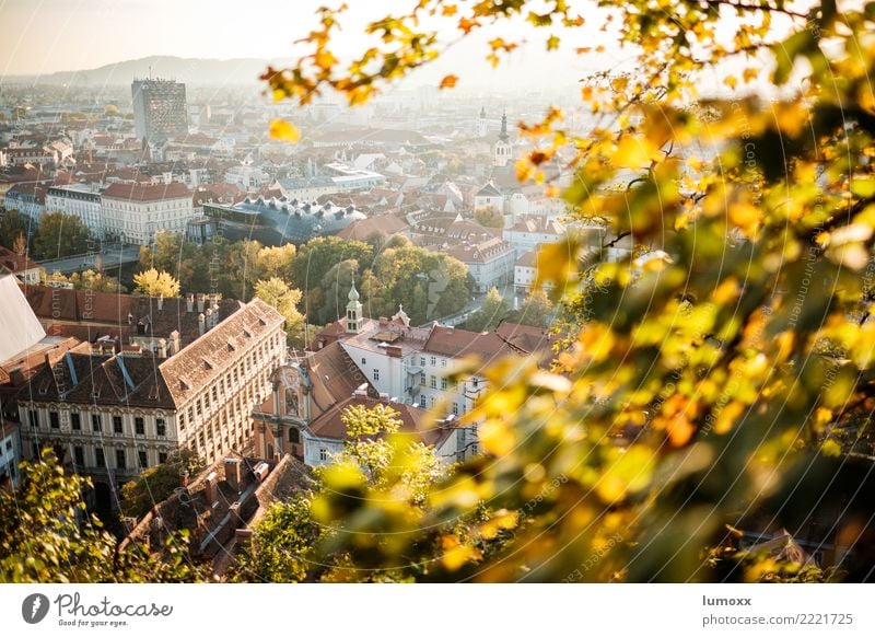 graziös Umwelt Natur Herbst braun gelb gold Graz Schlossberg Österreich Kunsthaus Unschärfe Blatt Stadt Stadtzentrum Weltkulturerbe Dach Farbfoto Abend