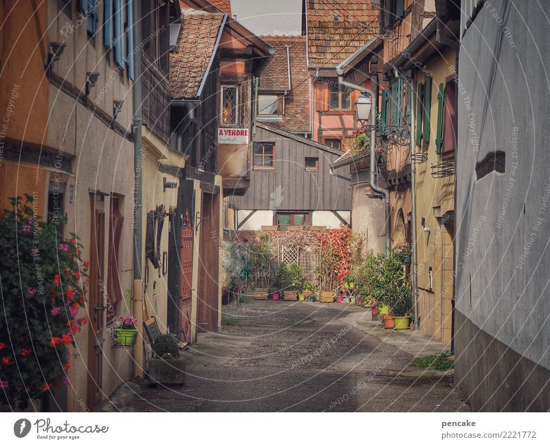 souvenirs d'eguisheim Altstadt Menschenleer Haus Architektur Tourismus Vergangenheit Wege & Pfade Zeit Elsass gemütlich altehrwürdig Idylle Frankreich Farbfoto