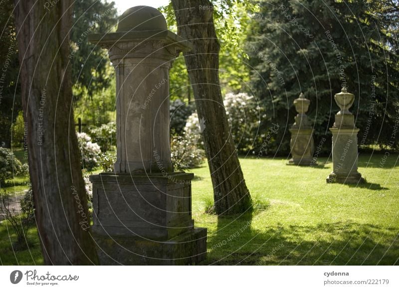 Friedhof Umwelt Natur Baum Park Wiese Einsamkeit Idylle Leben Nostalgie ruhig stagnierend Tod Trauer Vergangenheit Vergänglichkeit verlieren Zeit friedlich