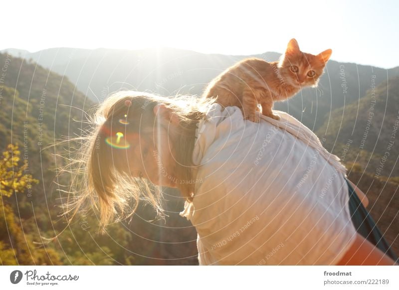 katzenbuckel Mensch feminin Junge Frau Jugendliche Erwachsene Sommer Tier Haustier Katze 1 Tierjunges hocken sitzen Kitsch klein niedlich Freude Glück