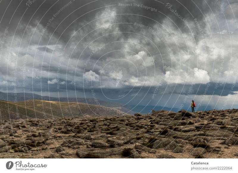 Wetterfront im Gebirge, Wanderer am Horizont maskulin 1 Mensch Landschaft Gewitterwolken Sommer schlechtes Wetter Regen Moos Hügel Berge u. Gebirge beobachten