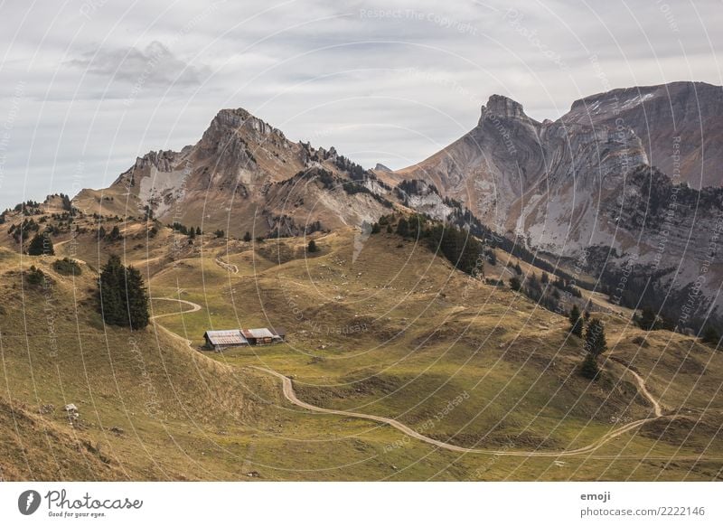 Schynige Platte Umwelt Natur Landschaft Sommer Schönes Wetter Alpen Berge u. Gebirge Gipfel außergewöhnlich Aussicht Schweiz Tourismus wandern Wanderausflug