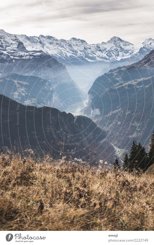 Wasserfall ganz weit hinten Umwelt Natur Landschaft Herbst Schönes Wetter Wald Hügel Tourismus Kanton Wallis Schweiz Wandertag Farbfoto Außenaufnahme