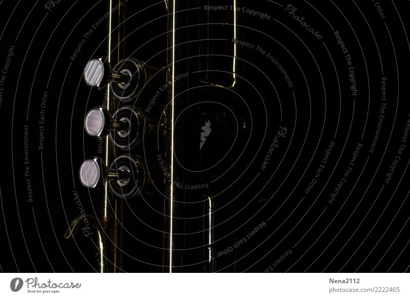 Trompete 01 Kunst Musik Musik hören Konzert Open Air Bühne Oper Band Musiker Orchester Gefühle Stimmung Lebensfreude Vorfreude Begeisterung Erfolg fleißig