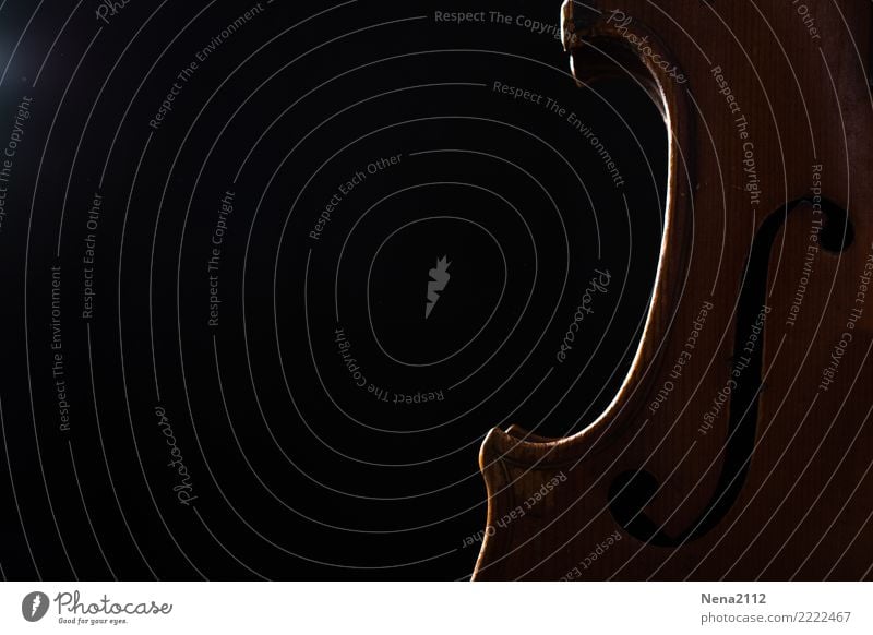 Geige 04 Kunst Musik Musik hören Konzert Open Air Bühne Oper Opernhaus Band Musiker Orchester Gefühle Stimmung Freude Zufriedenheit Vorfreude Begeisterung Holz