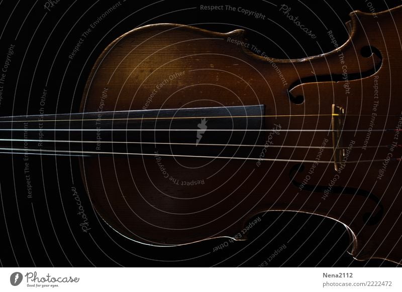 Geige 02 Kunst Musik Musik hören Konzert Open Air Bühne Oper Band Musiker Orchester Spielen fantastisch Cello Streichinstrumente Saiteninstrumente Holz