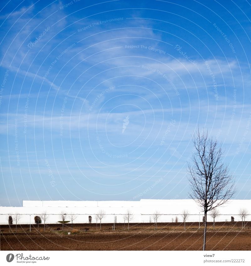 Logistikzentrum Handel Umwelt Natur Landschaft Wolkenloser Himmel Sonne Schönes Wetter Baum Haus Industrieanlage Fabrik Fassade ästhetisch authentisch einfach