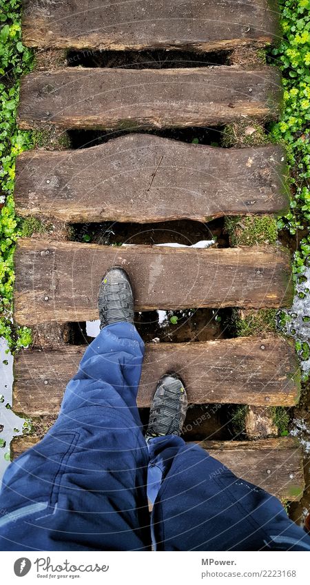 aufm holzweg Mensch maskulin Beine Fuß 1 Natur gehen Schuhe wandern Vogelperspektive Holzweg Steg Außenaufnahme Tourismus Tourist Wanderschuhe Farbfoto