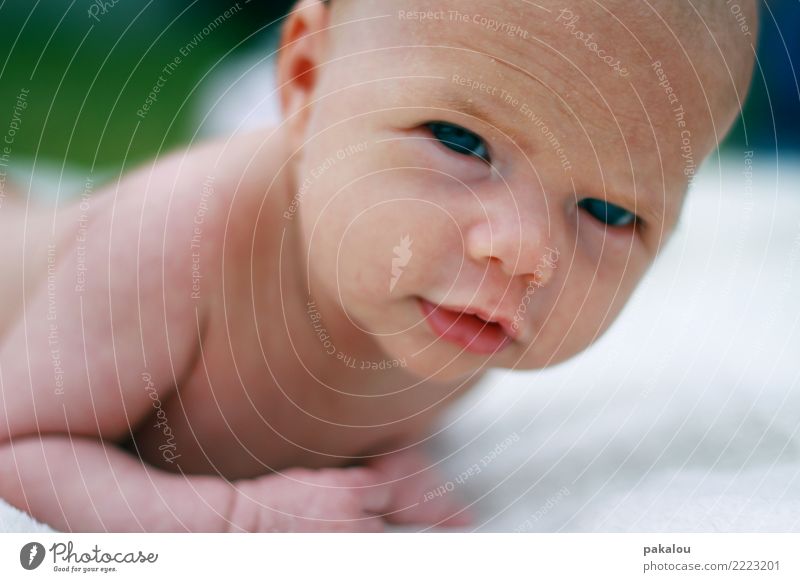 Hallo Cutie Rudie Kind Mensch Baby Kindheit Haut Kopf 1 0-12 Monate Natur Sommer Schönes Wetter Garten liegen frisch Unendlichkeit nah nackt Sauberkeit