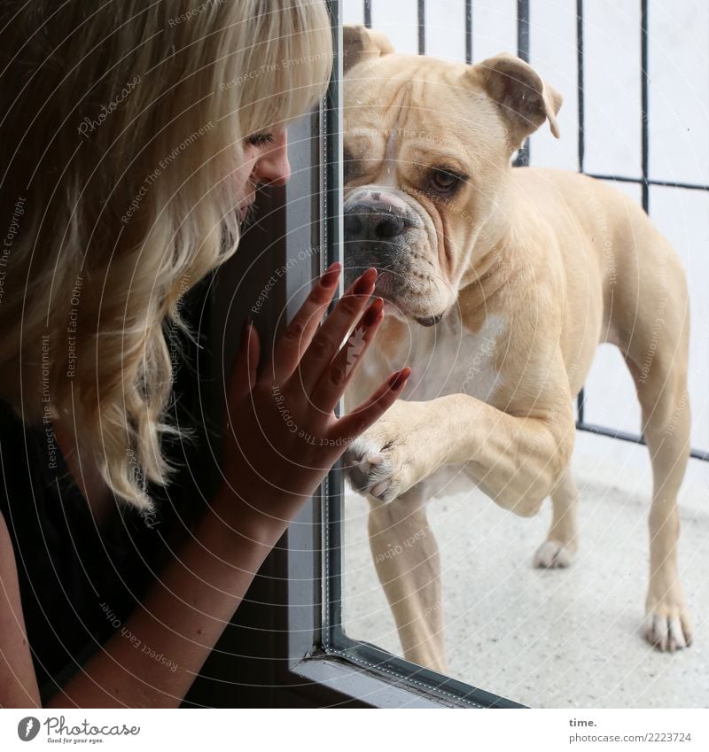 Lilly Raum Balkon Glastür feminin Frau Erwachsene 1 Mensch blond langhaarig Hund Tier beobachten Kommunizieren Wärme Willensstärke Leidenschaft Vertrauen