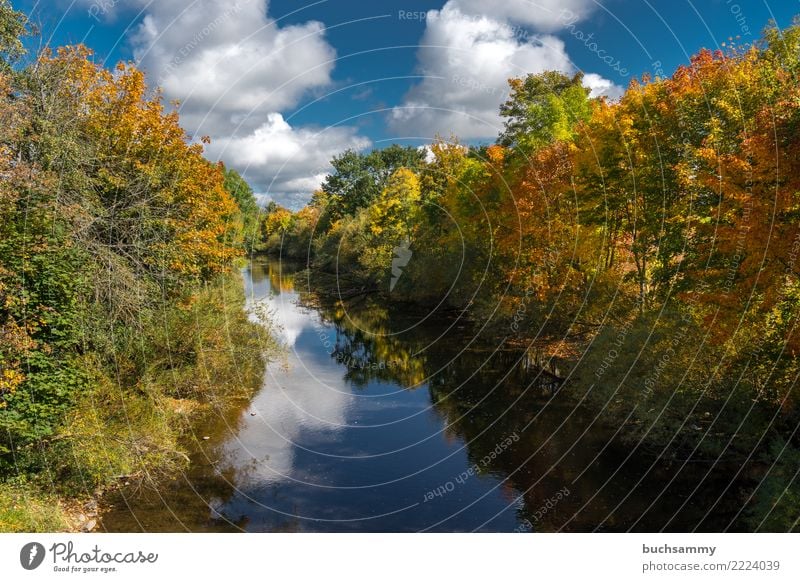 Herbst am Fluß Natur Landschaft Wolken Baum Blatt Fluss blau gelb grün Erde Europa Jahreszeiten Orange deutschland himmel Farbfoto mehrfarbig Außenaufnahme