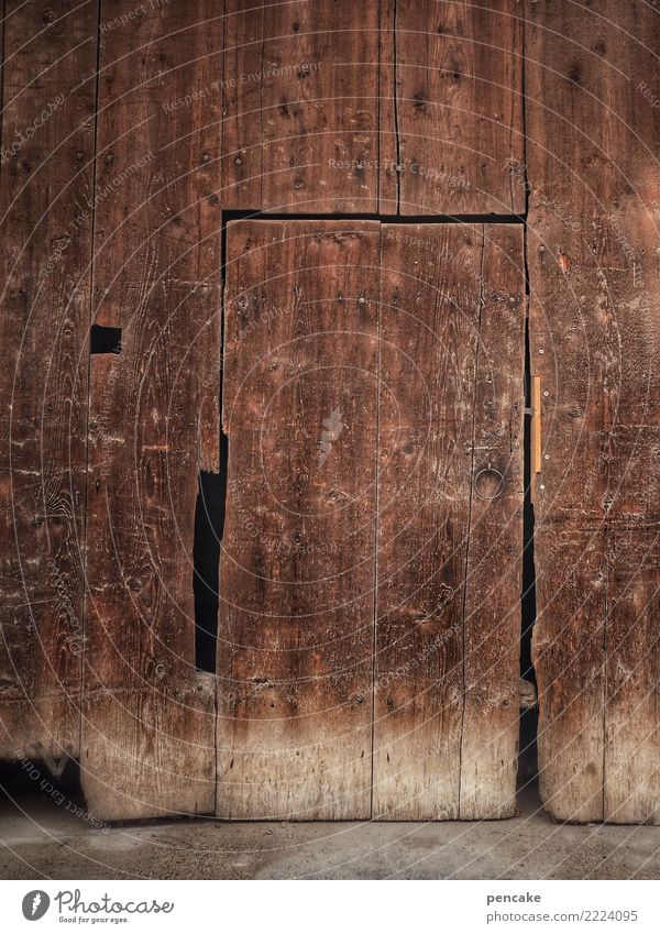 hintertürchen Altstadt Tor Gebäude Architektur Fassade Tür Holz alt authentisch Freundlichkeit Wärme Holzwand Holztür historisch Farbfoto Gedeckte Farben