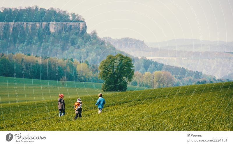 Kinder unterwegs Mensch Freundschaft Kindheit Kindheitserinnerung Leben 3 3-8 Jahre Umwelt Landschaft Schönes Wetter Wiese Feld Wald Felsen Bewegung Spielen