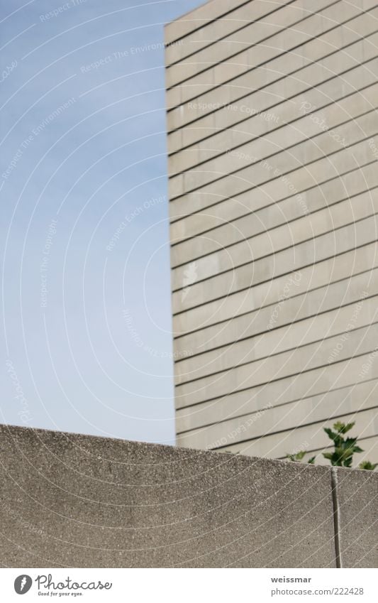 Kämpfernatur Dresden Sachsen Europa Hauptstadt Altstadt Menschenleer Kirche Bauwerk Gebäude Architektur Synagoge Mauer Wand Fassade ästhetisch eckig einfach