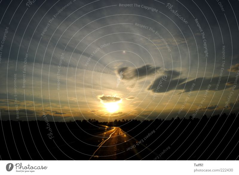 Sonniger Weltuntergang Landschaft Himmel Wolken Sonnenaufgang Sonnenuntergang Wetter Menschenleer Verkehrswege Straße Ferne frei Unendlichkeit blau gelb gold