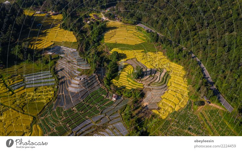 Luftaufnahmefoto von Fliegen Drohne schön Ferien & Urlaub & Reisen Tourismus Berge u. Gebirge Haus Umwelt Natur Landschaft Himmel Baum Wald Hügel Dorf Verkehr