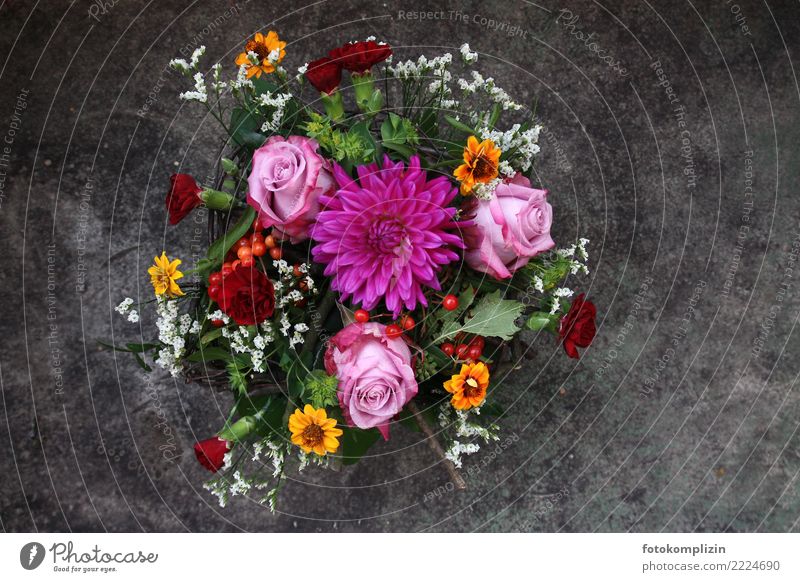 Blumenstrauß mit Dahlie und Rosen Blüte Dahlien Schleierkraut Blühend Strauß schön Romantik Hochzeit blumenbouquet Floristik geburtstagsstrauß Farbfoto