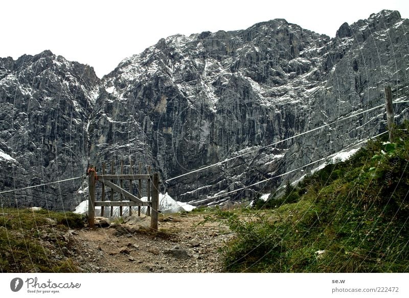 Tor zur ... Felsen Alpen Berge u. Gebirge Kalkalpen Karwendelgebirge Alm Drahtzaun dunkel grün schwarz weiß Einsamkeit Natur Wege & Pfade Menschenleer