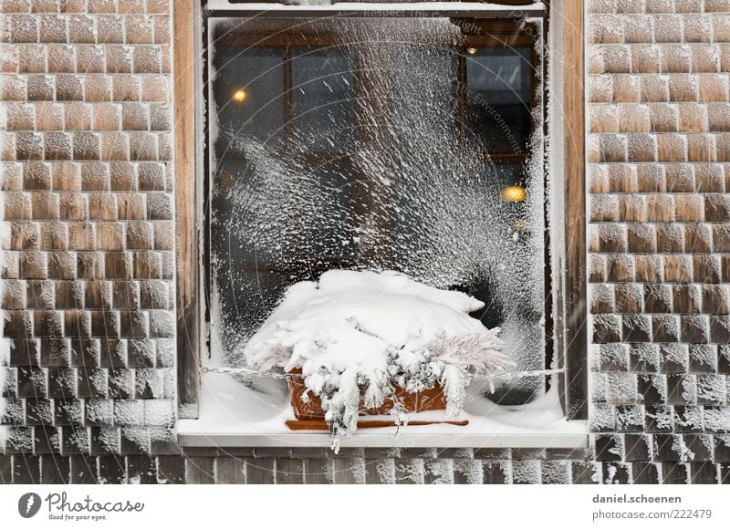 frostig Winter Schnee Eis Frost Mauer Wand Fassade Fenster Holz kalt Schwarzwald Schwarzwaldhaus Gedeckte Farben Fensterbrett Blumenkasten