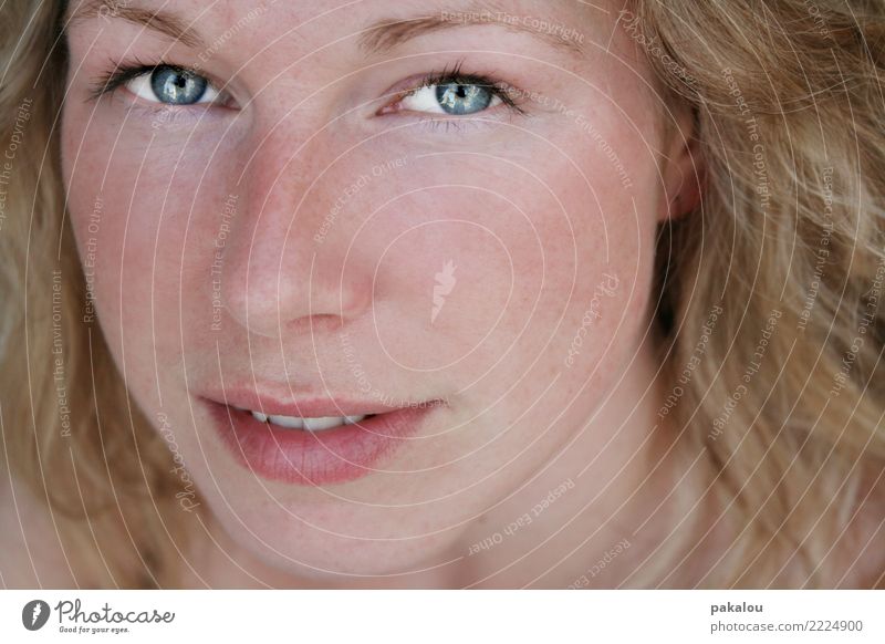 Sommersprossen und leuchtende Augen Haut Kosmetik Mensch feminin Junge Frau Jugendliche Erwachsene Gesicht 1 18-30 Jahre blond Locken Blick frisch Gesundheit