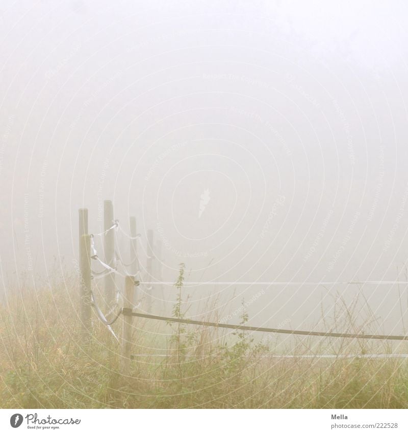 Misty November Umwelt Natur Landschaft Herbst Wetter Nebel Gras Weide Zaun Weidezaun natürlich trist grau grün ruhig trüb Ferne Farbfoto Gedeckte Farben