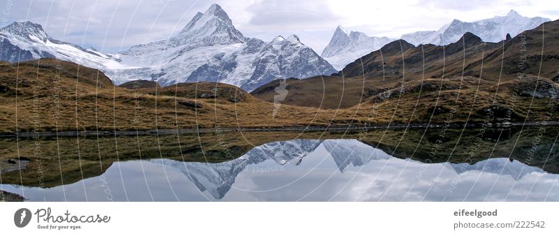 Bernese Alps, Bachsee, Schreckhorn Natur Landschaft Wasser Alpen Berge u. Gebirge Gipfel Schneebedeckte Gipfel Gletscher See fantastisch gigantisch Stimmung