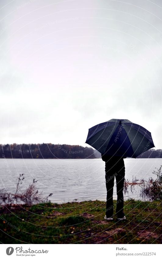 Dreckswetter am See Ausflug Ferne Mensch feminin Junge Frau Jugendliche 1 18-30 Jahre Erwachsene Natur Wasser Wolken Herbst schlechtes Wetter Regen Gras Seeufer