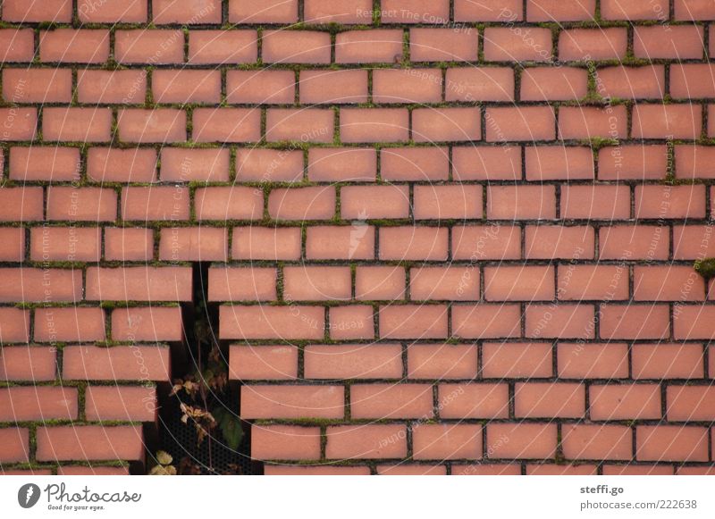 mit dem Weihnachtsbaum durch die Wand? Interpretationsspielraum! Kunstwerk Mauer Fassade Backstein außergewöhnlich fest Loch rot geheimnisvoll Postkarte