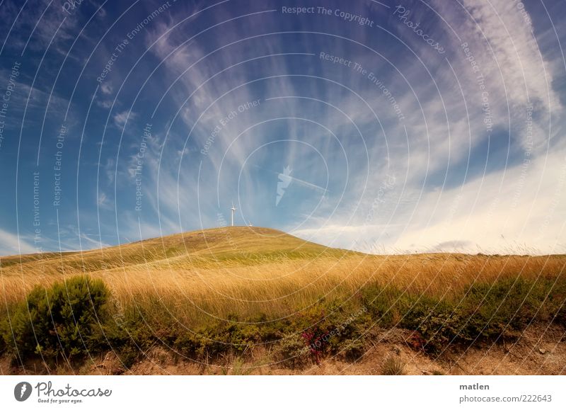 automne Natur Landschaft Erde Sand Luft Himmel Herbst Schönes Wetter Pflanze Gras Sträucher Hügel heiß blau gold Bergheide mehrfarbig Außenaufnahme Licht