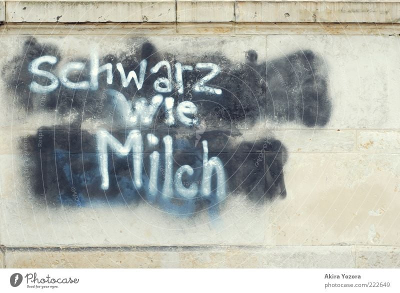 Schwarz wie Milch Mauer Wand Stein hell einzigartig schwarz weiß Weisheit Graffiti beschmiert Schriftzeichen Buchstaben Widerspruch Gegenteil Oxymoron Farbfoto