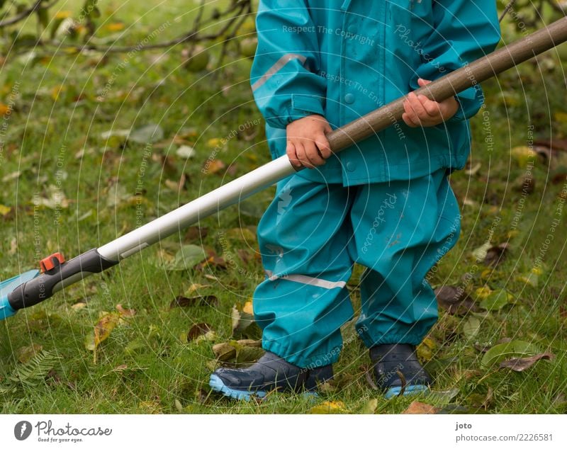 stolz Freude Zufriedenheit Kinderspiel Garten lernen Gartenarbeit Kleinkind 1-3 Jahre Herbst Blatt Wiese Gummistiefel Mütze entdecken warten niedlich Erfolg