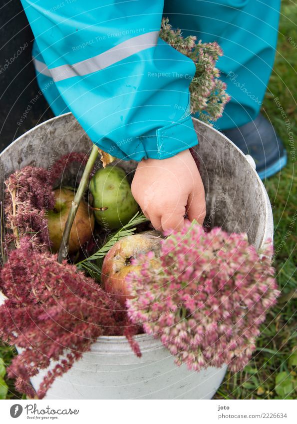 Gartenschätze Apfel Ernährung Gesundheit Kinderspiel Kleinkind Hand 1-3 Jahre Herbst Blume Wiese Gummistiefel berühren entdecken lernen Zufriedenheit achtsam