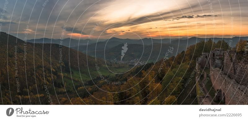 Pfälzerwald Tourismus Sightseeing wandern Natur Landschaft Himmel Wolken Horizont Herbst Wetter Nebel Pflanze Baum Wald Hügel Felsen Berge u. Gebirge Gipfel