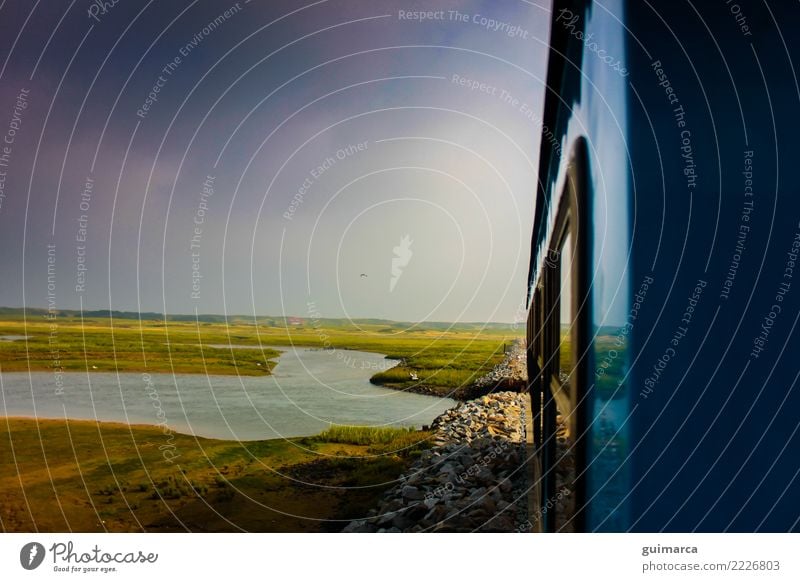 Blick vom Zug auf Wangerooge Natur Erde Himmel Wolken Sonne Sommer Klima Wetter Wind Pflanze Grünpflanze Wildpflanze Wiese Küste Nordsee See Fluss Fischerdorf