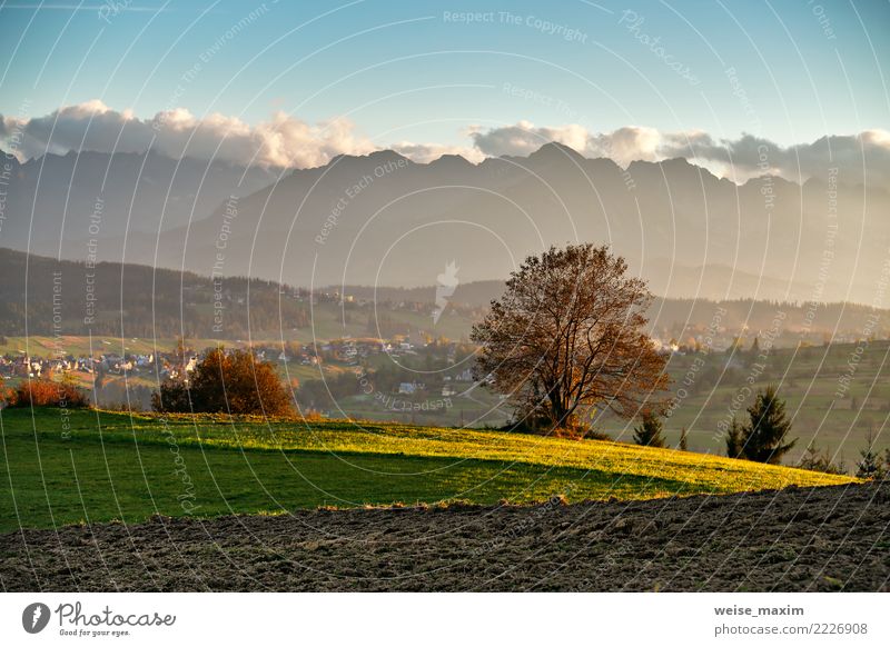 Sonniges Abendpanorama des schönen Herbstes. Tatra-Gebirge Ferien & Urlaub & Reisen Tourismus Ausflug Abenteuer Sommer Berge u. Gebirge wandern Natur Landschaft