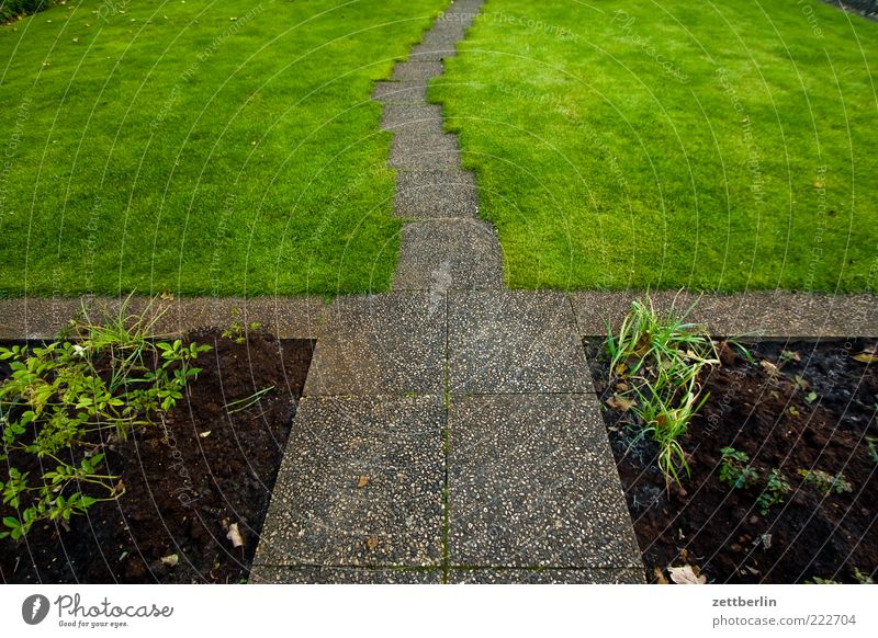 Garten Umwelt Natur Pflanze Erde Sommer Herbst Grünpflanze Wege & Pfade Wegkreuzung seriös Oktober Beet Gras Rasen Wiese Zugang Eingang Sträucher Symmetrie