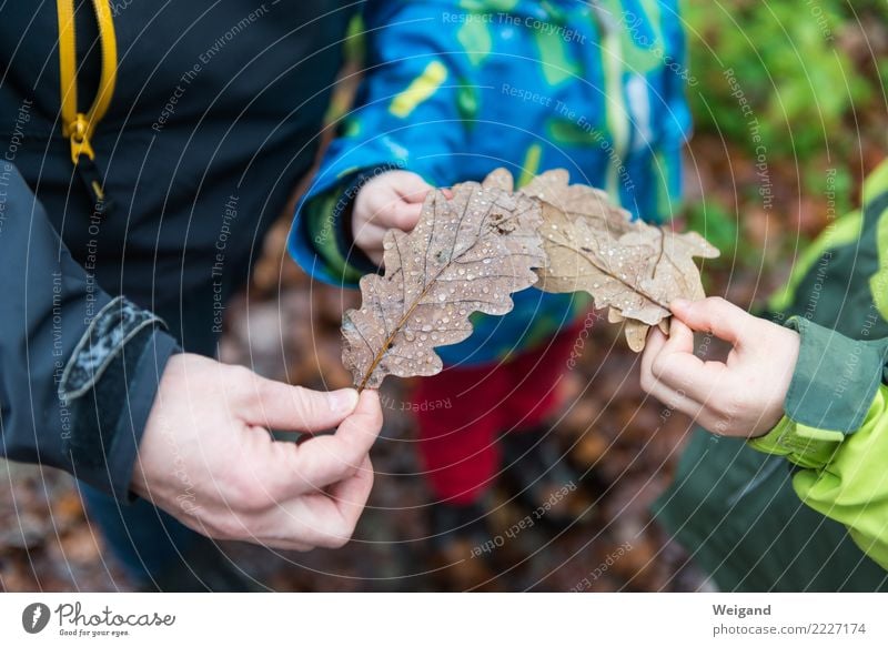 Familienbande Kindererziehung Kindergarten Mensch Kleinkind Mädchen Junge Frau Erwachsene Kindheit 3 wandern braun Familie & Verwandtschaft Team Zusammensein