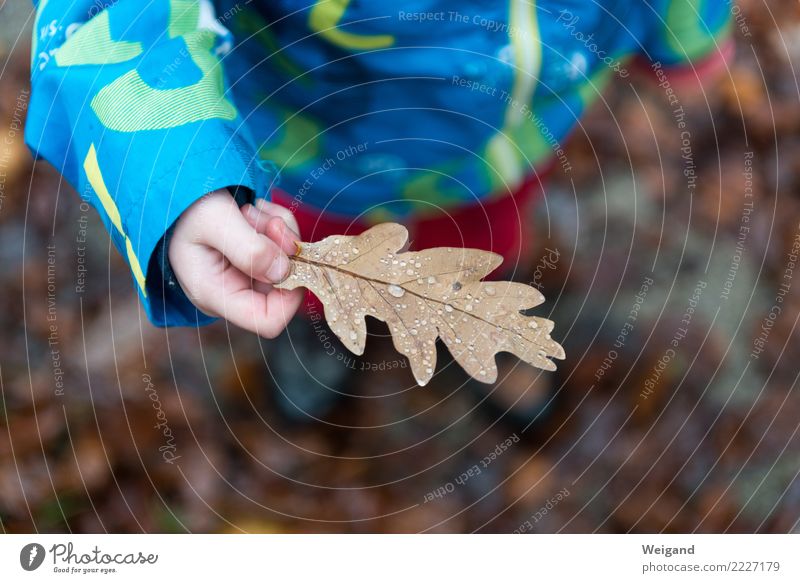 Perlenblatt Leben Wohlgefühl Sinnesorgane ruhig Meditation Kindererziehung Kindergarten Kleinkind Mädchen Junge Kindheit träumen Freundlichkeit Fröhlichkeit