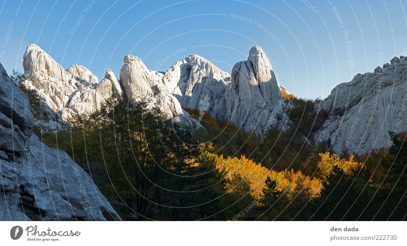 Bojinac in Kroatien / Velebit Ferien & Urlaub & Reisen Ausflug Ferne Freiheit Berge u. Gebirge Natur Landschaft Wolkenloser Himmel Herbst Schönes Wetter Wald